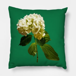 Hydrangeas - Single White Hydrangea Pillow