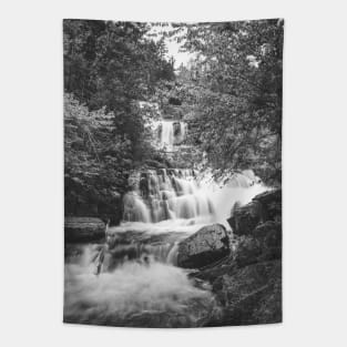 Rats Waterfall Mont-Tremblant National Park, Quebec V4 Tapestry