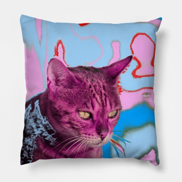 Cat / Swiss Artwork Photography Pillow by Wolf Art / Swiss Artwork Photography