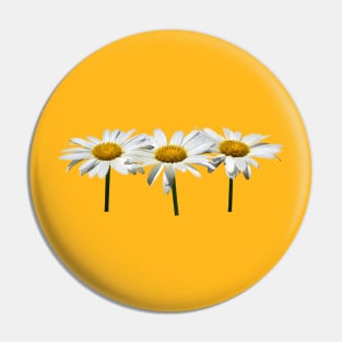 Daisies - Three Daisies In a Row Pin