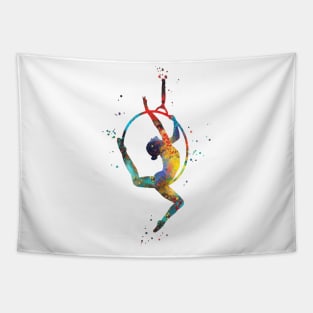 Aerial hoop, lyra Tapestry