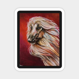 Masked Red Afghan Hound Magnet