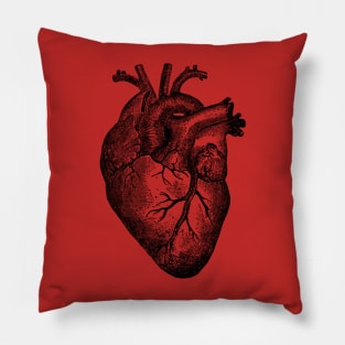 Vintage Retro Anatomical Correct Heart Illustration Pillow