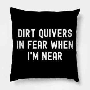 Dirt quivers in fear when I'm near Pillow