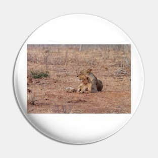 Lioness and Lion Cub Snuggle Together Pin