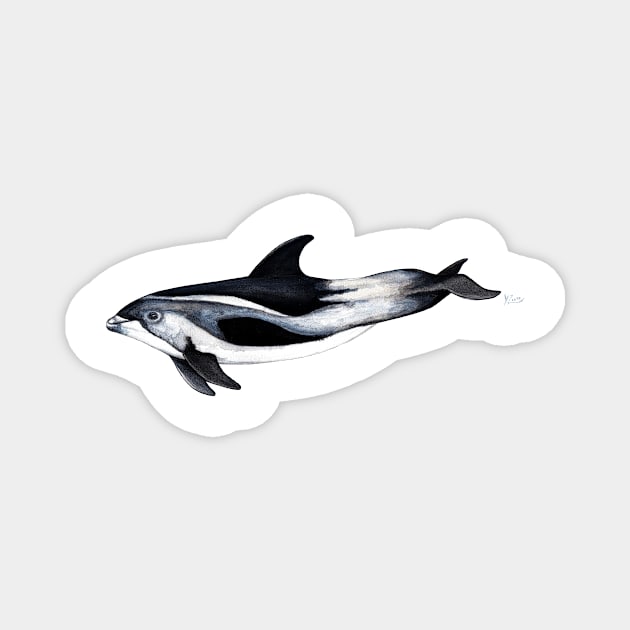 White-beaked dolphin Magnet by chloeyzoard