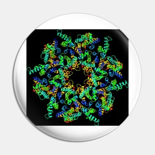 HIV-1 capsid in intact virus particle (F012/1041) Pin