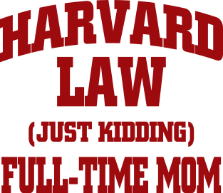 Harvard Law / Full-time Mom Magnet