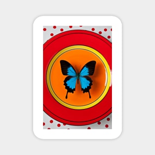 Blue Butterfly On Red Plate Magnet
