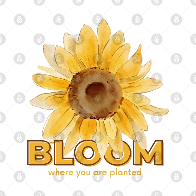 BLOOM WHERE YOU ARE PLANTED by TrendsCollection