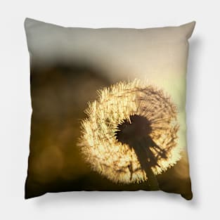 Dandelion Sunset Photo Pillow