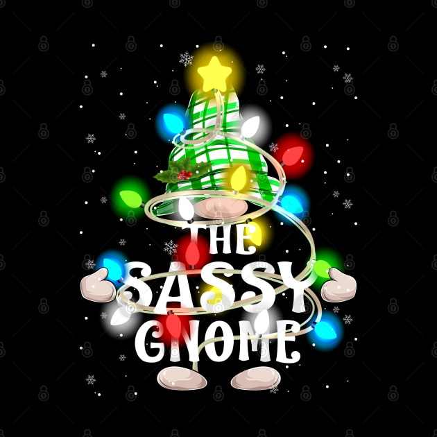 The Sassy Gnome Christmas Matching Family Shirt by intelus