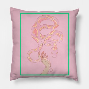 Pink dangernoodle Pillow