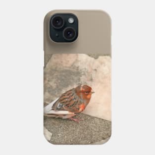 Lovely runaway canary bird Phone Case