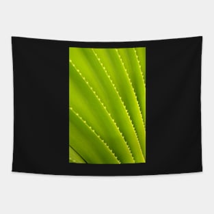 Spiky Plant Tapestry