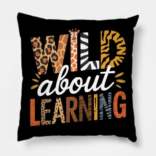 Teaching Pillow