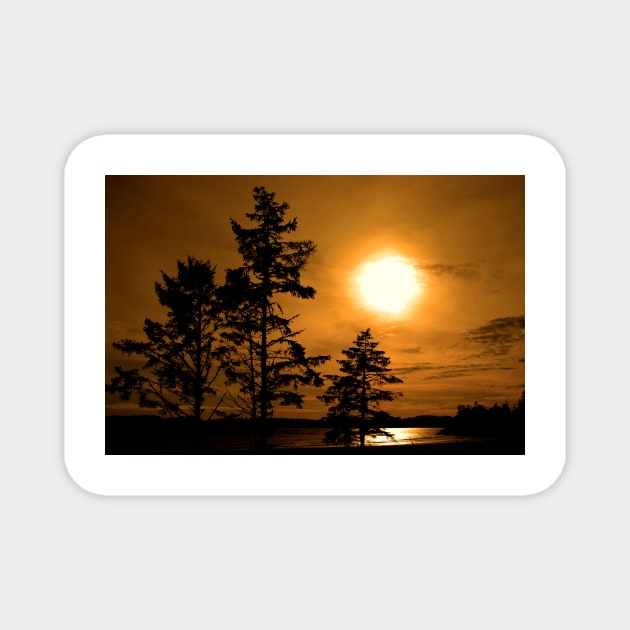 Sunset Long Beach Tofino Vancouver Island Canada Magnet by AndyEvansPhotos