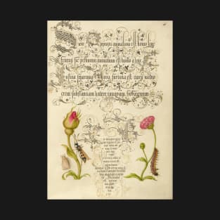 Illuminated manuscript: Wainscot, French Rose, Wasp, English Daisy, and Caterpillar, from "Mira calligraphiae monumenta", 1500s, cleaned and restored T-Shirt