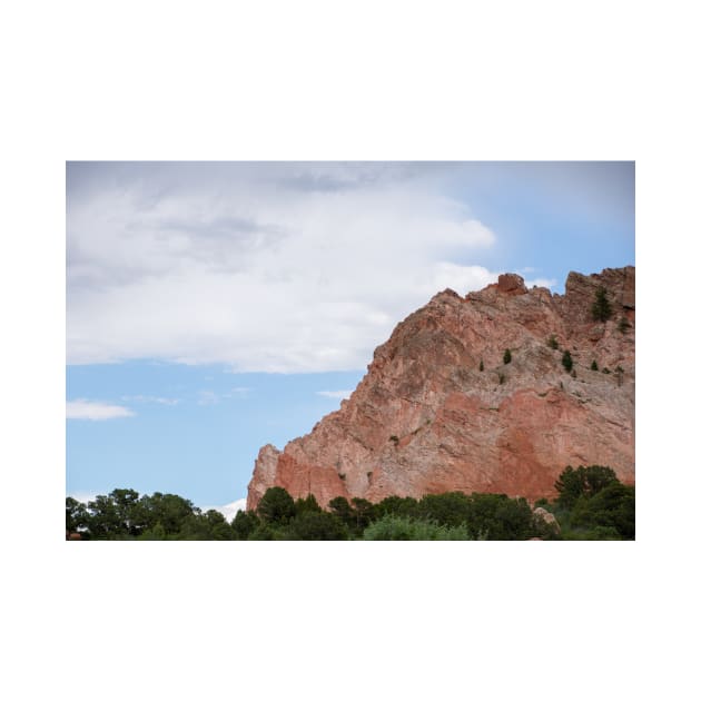 Garden of the Gods by photosbyalexis