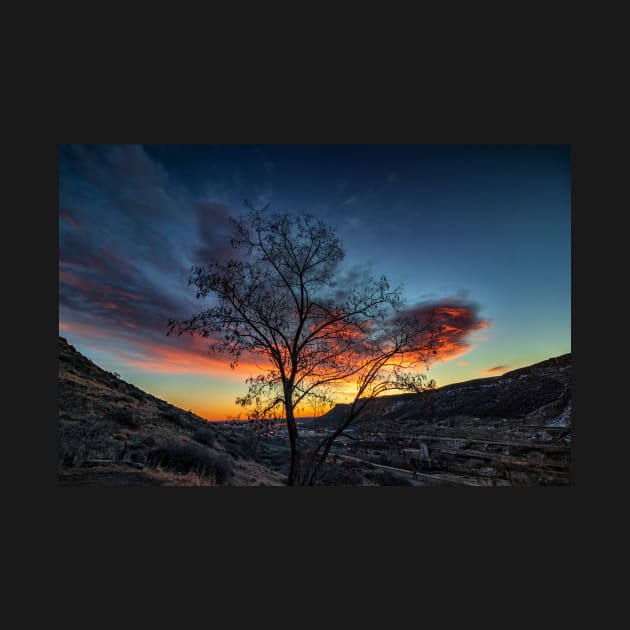 The Silhouette of a Tree Against Clouds Being Lit By the Sunrise by jecphotography