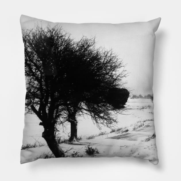 Blizzard in Greece Pillow by wanungara