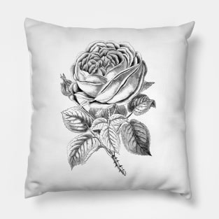 Rose Flower Pillow