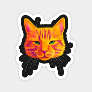 Orange Tabby Cat Magnet