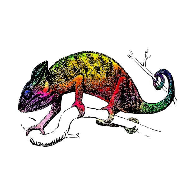 Rainbow chameleon by obmik