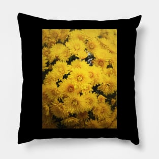 Yellow chrysanthemums texture Pillow