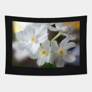 Paperwhites Bouquet Tapestry