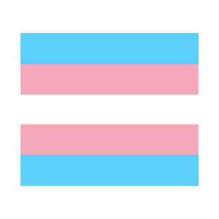 Trans pride flag T-Shirt