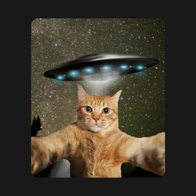 CAT SELFIE UFO by Cult Classics