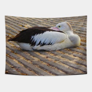 The Resting Pelican! Tapestry