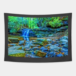 Carrick Creek, South Carolina Tapestry