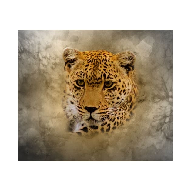 Leopard portrait by Guardi