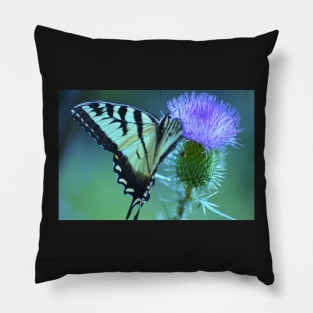 Swallowtail Butterfly Pillow