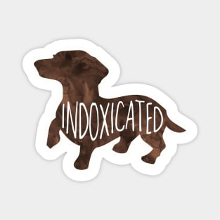 Indoxicated - Dachshund, doxie, funny saying Magnet