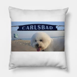 Beachy Bichon Pillow