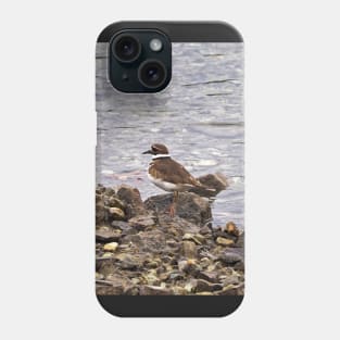 Killdeer Bird Standing On A Rocky Shore Phone Case