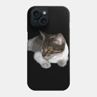 cat with strange regard Phone Case