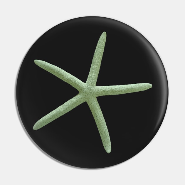 Starfish, Seafoam Green Pin by PixDezines