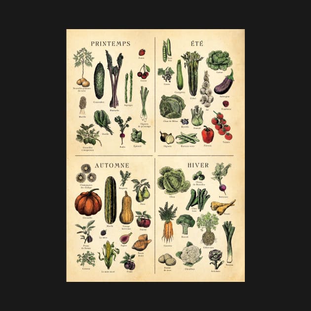 FRENCH Seasonal Fruit and Veg Chart by Highdown73