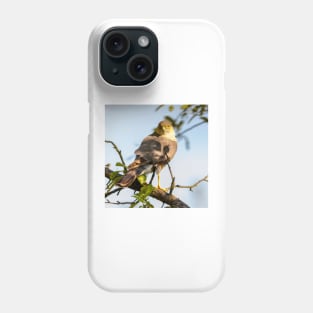 Eurasian sparrowhawk, Accipiter nisus Phone Case