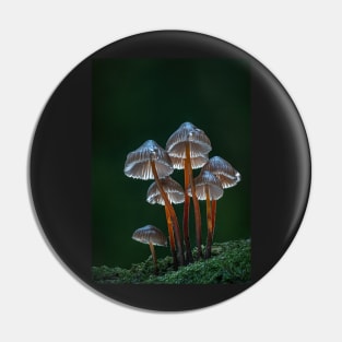 mushrooms in the forest Pin