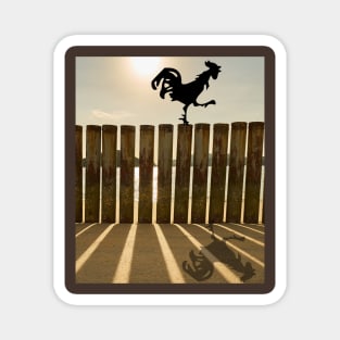 Rooster on the fence Magnet