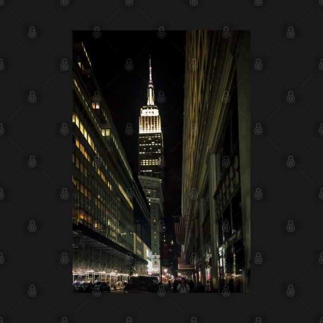 Empire State Building by Night, Manhattan, NYC by eleonoraingrid