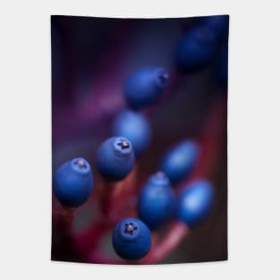 Berries Tapestry