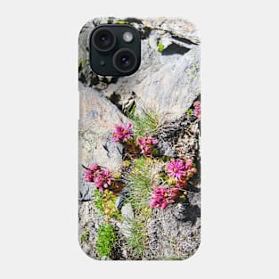 Mountain Flowers Switzerland Fly / Swiss Artwork Photography Phone Case