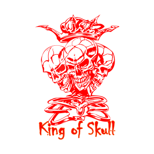 skull1 T-Shirt