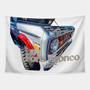 1971 Ford Bronco Sport Tapestry